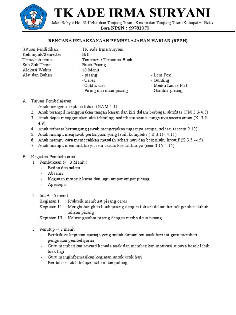RPP TK | PDF | Kesehatan Holistik