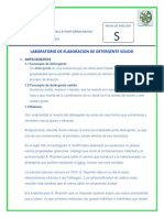 Informe de Laboratorio 2 Detergente Solido