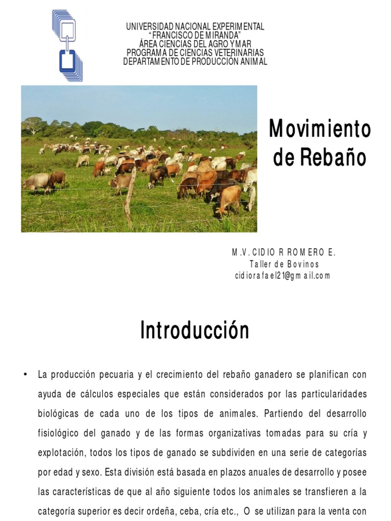 Movimiento y Carga de Rebaños Bovinos | PDF | Vacas | Zoología