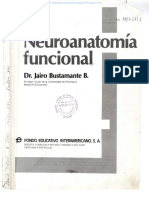 Neuroanatomía Jairo Bustamante