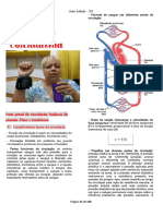 Fisiologia Circulatória e Vascular