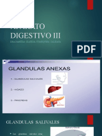 Digestivo III