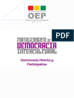 Directa y Participativa