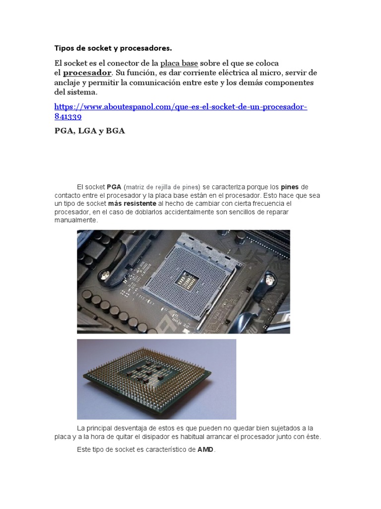 Tipos de Socket y Procesadores Resumen | PDF