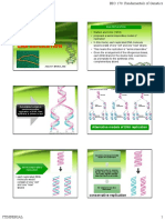 Lesson 5B - Dna Replication