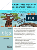 COP - Climat - Energies fossiles (2)