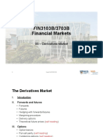 FM06 Derivatives MKT 0316