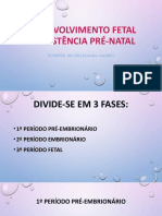 Desenvolvimento Fetal e Assistência Pré-Natal