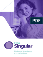 Plan Singular Digital
