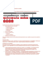 Exemples de Types de Protection Sociale: Typologie