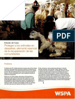 Estudio de Caso Proteger a Los Animales en Desastres Elemento Esencial de La Recuperacion de Las Comunidades_2011