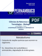 A respiração aeróbica e a obtenção de energia (1)