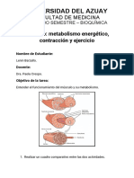 Metabolismo muscular durante el ejercicio: glucólisis, glucogenólisis y sustratos energéticos