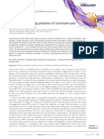 Membrane Binding Proteins of Coronaviruses