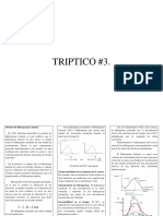 Triptico 3 Diego Turmero