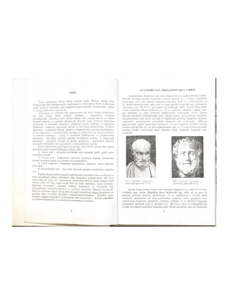 Plastik Anatomiya 1 | PDF