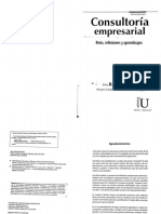 Consultoría Empresarial 