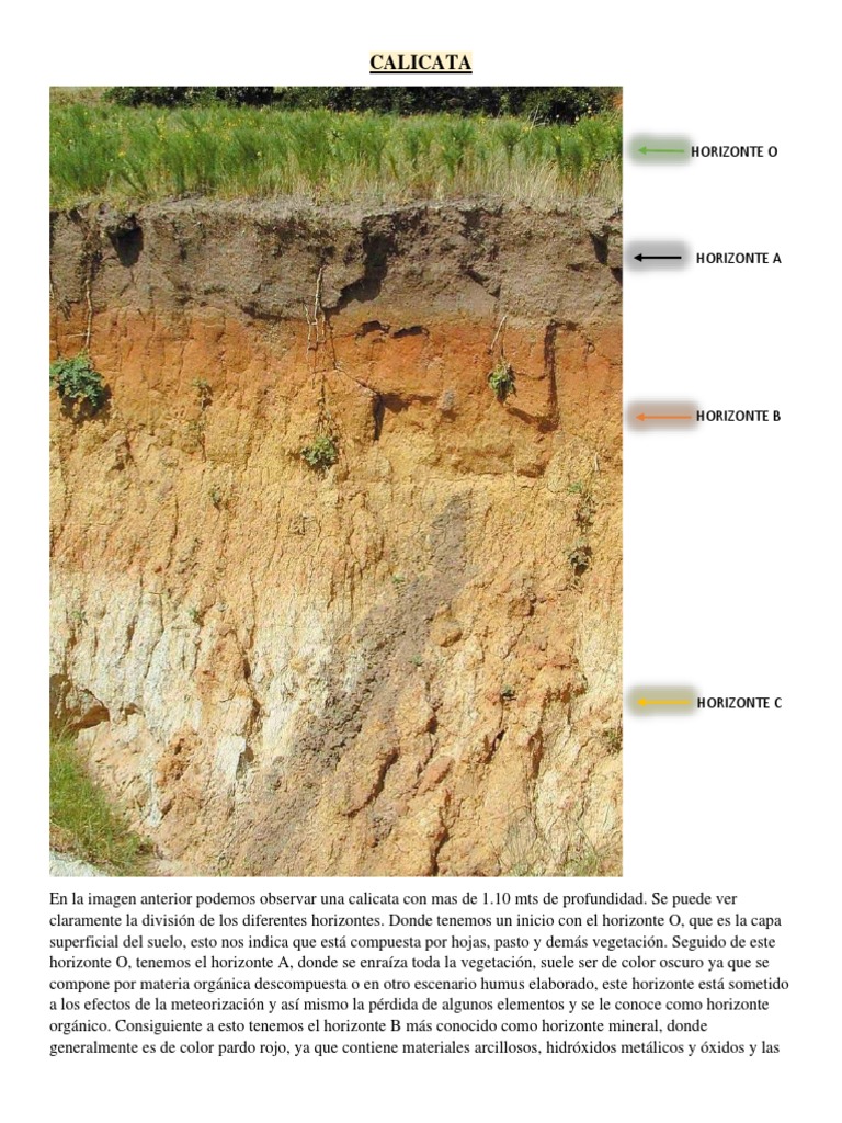 Tipos y Horizontes de Calicatas de Suelo | PDF
