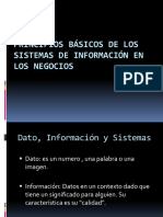 Introduccion A Los Sistemas de Informacion de Los Negocios