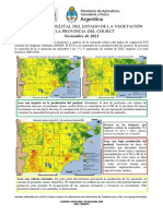 Inta Vegetacion Chubut Noviembre-2021