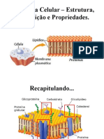 Membrana Celular - Estrutura, Composição e Propriedades