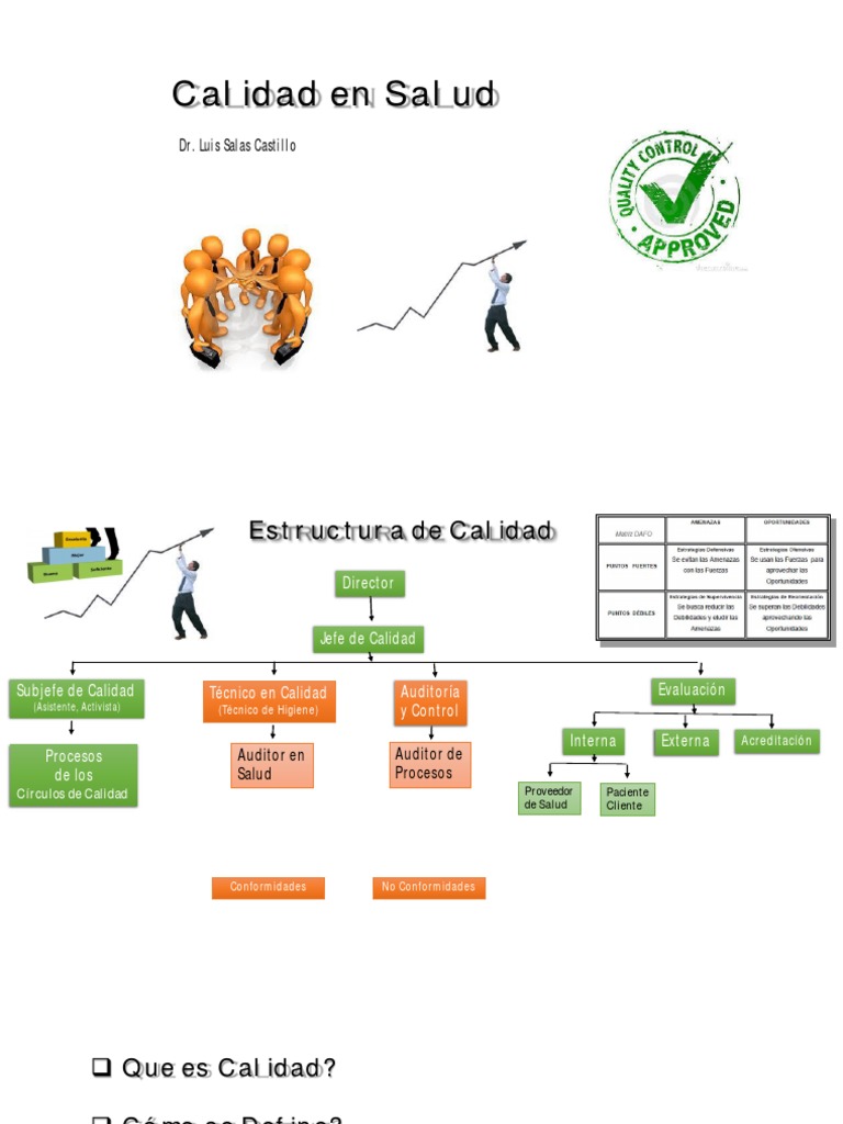 Calidad En Salud Pdf Calidad Comercial Gestión De La Calidad