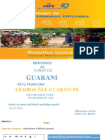Presentación1 Guarani