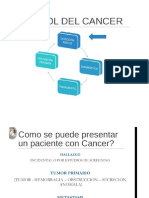 PDF Acr2015 Estadificacion Actual para Los Canceres Mas Comunes DD