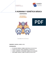 Informe S3 Clonacion