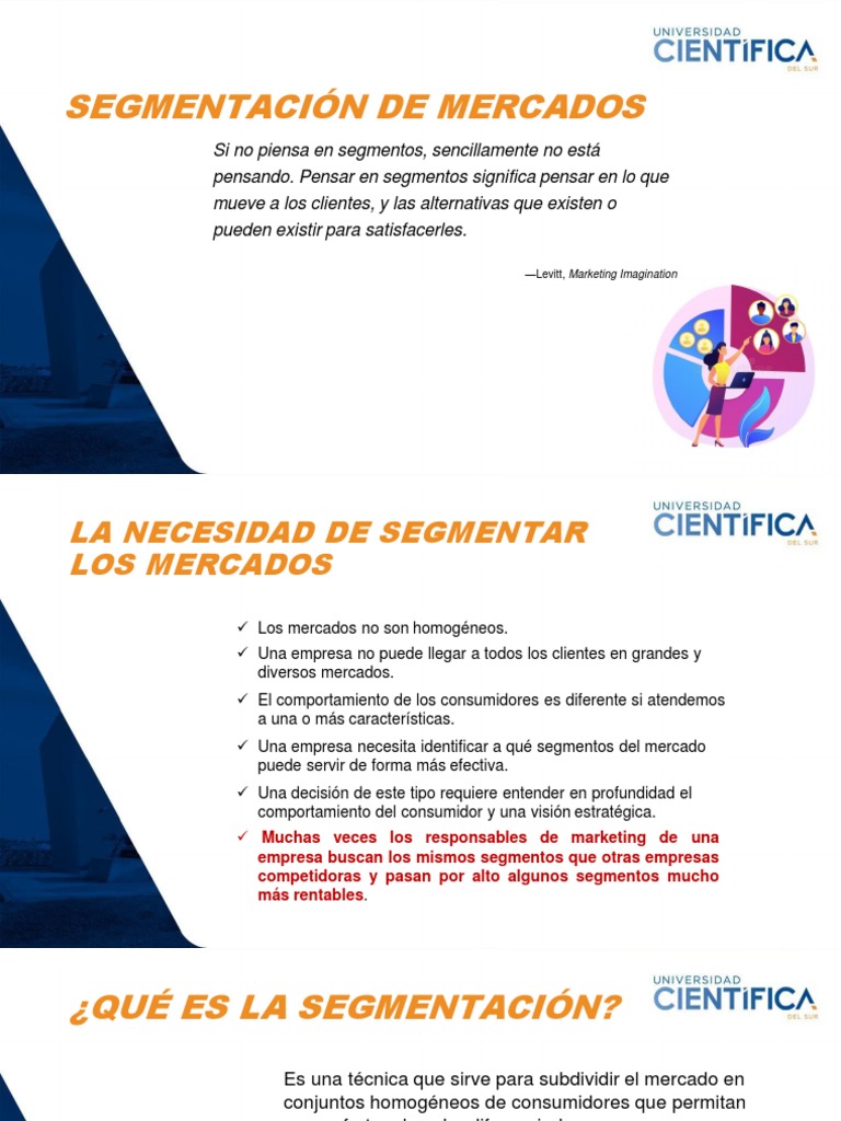 Segmentacion de Mercado | PDF | Marketing | Mercado (economía)