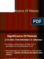 Download Significance of Meiosis by Jagung Manis SN53923253 doc pdf