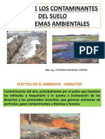 Efectos de Los Contaminantes - Problemas Ambientales