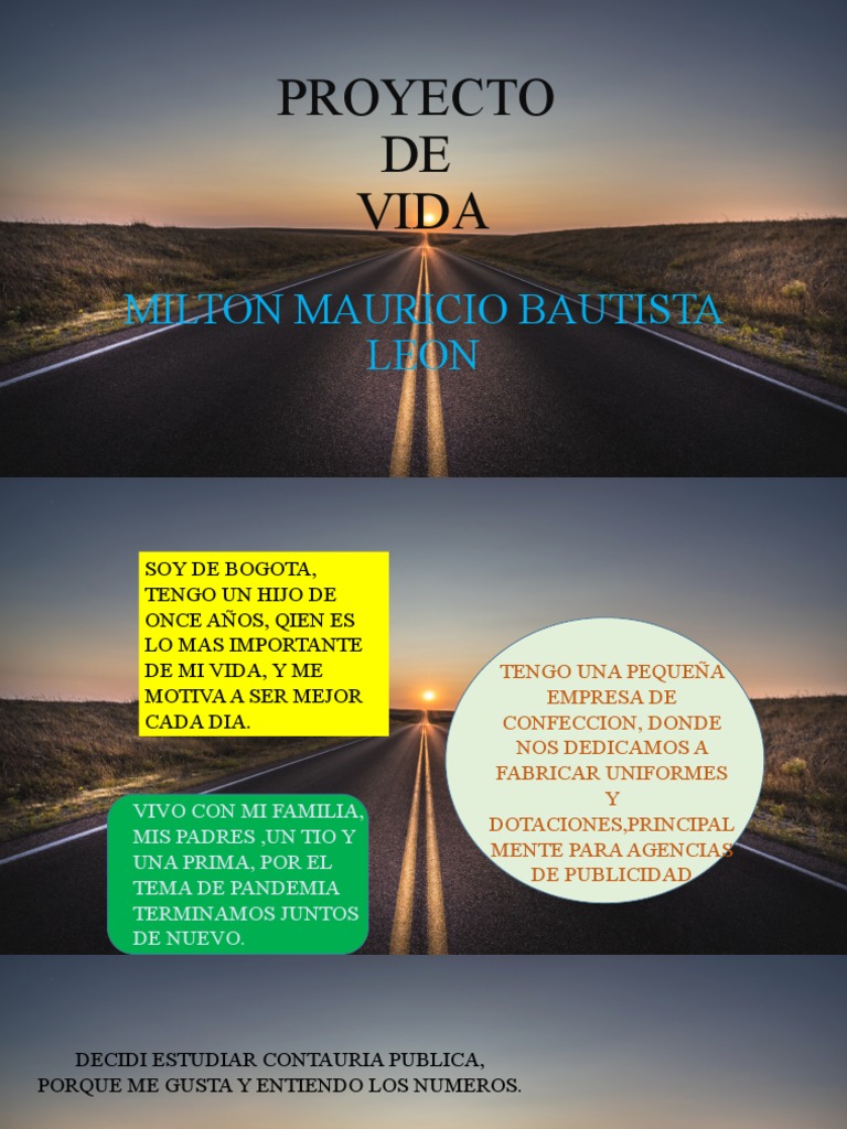 Proyecto de Vida Informatica | PDF