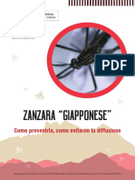 zanzara-giapponese