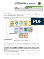 Guia 1 p3 Biología Grado 11