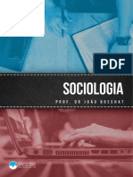 Apostila EAD Seminario Do Sul - Sociologia