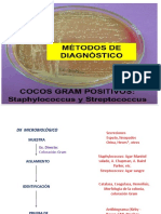 Métodos de dignóstico cocos