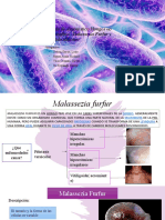 Practica 02 Microbiologia