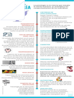 Infografía Conceptos Básicos