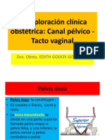 B-Exploracion Clinica Obstetrica-Tacto Vaginal-Canal Pelvico-2021