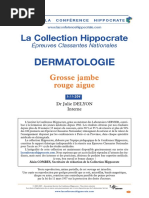 I-11-204-Gros se jambe rouge aigue