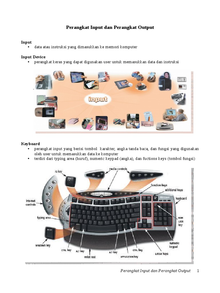 Perangkat Input dan Output Komputer | PDF