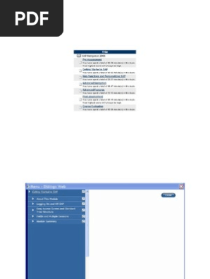 Sap125 Sap Navigation 2005