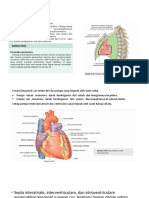Fungsi dan Anatomi Jantung