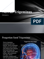 PKT Nervus Trigeminus