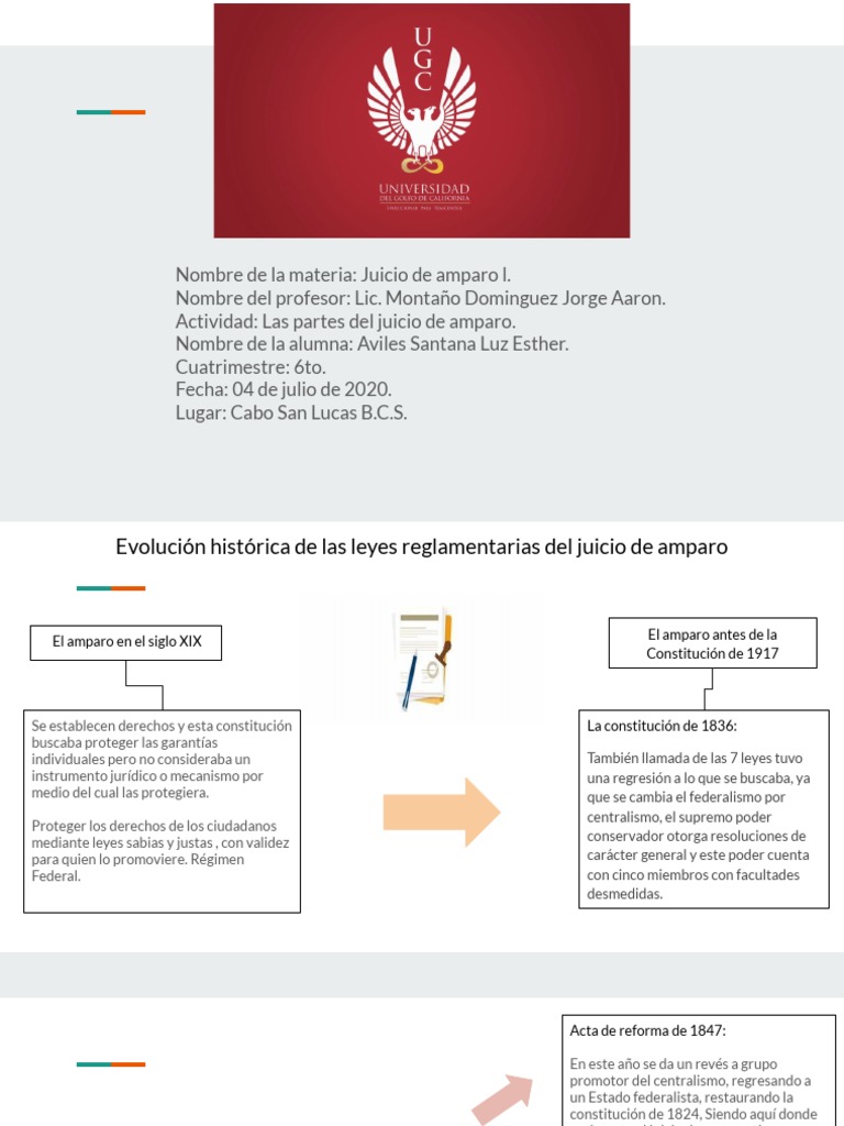 Las Partes Del Juicio De Amparo Pdf Constitución Caso De Ley