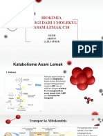 Energi 1 Molekul Asam Lemak