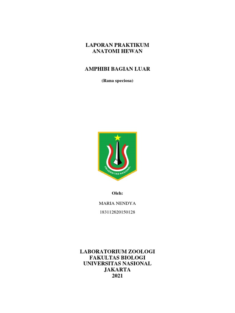 Pengamatan Anatomi Katak Rana sp | PDF
