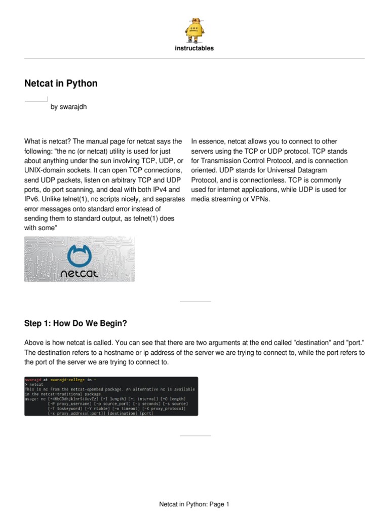 Netcat in Python: Step 1: How Do We Begin? | PDF | Port (Computer ...