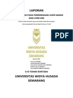 Laporan Praktikum USG Liver